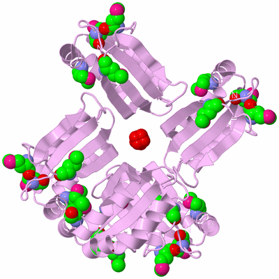 Image Biological Unit 3