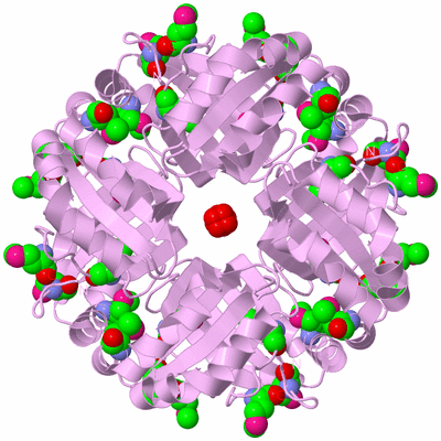 Image Biological Unit 4
