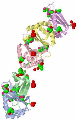 Image Asym. Unit - sites