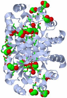 Image Biol. Unit 1 - sites