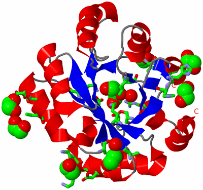 Image Asym. Unit - sites