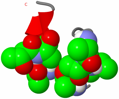 Image NMR Structure - model 1