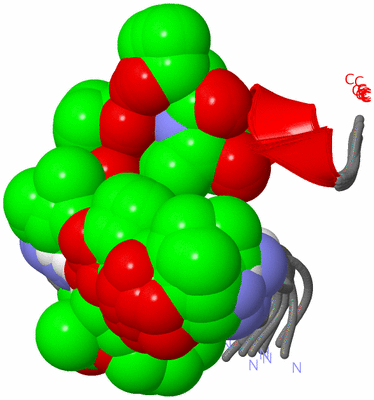 Image NMR Structure - all models