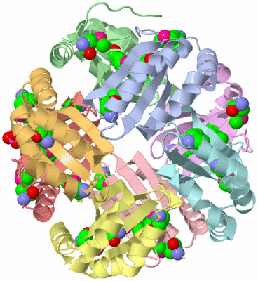 Image Asym./Biol. Unit