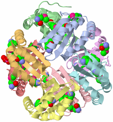 Image Asym./Biol. Unit - sites