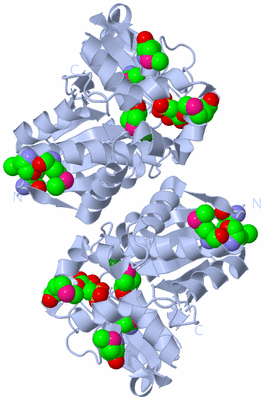 Image Biological Unit 1