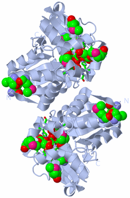 Image Biol. Unit 1 - sites