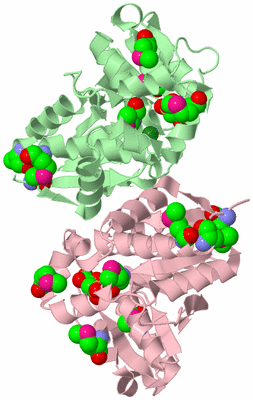 Image Biological Unit 2