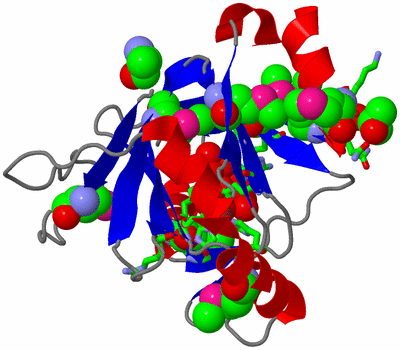 Image Asym./Biol. Unit - sites