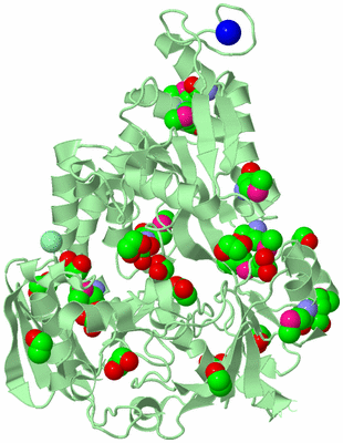 Image Biological Unit 2