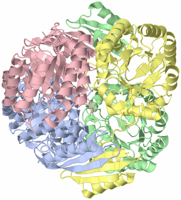 Image Asym./Biol. Unit