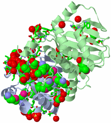 Image Biol. Unit 1 - sites