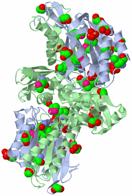 Image Biological Unit 2