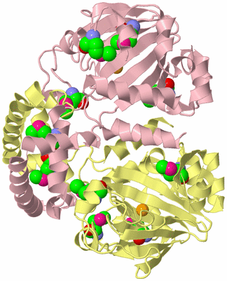 Image Biological Unit 2