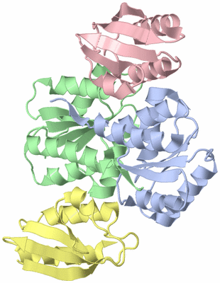 Image NMR Structure - model 1