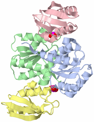 Image NMR Structure - all models