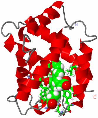 Image NMR Structure - model 1, sites