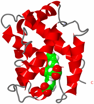 Image NMR Structure - model 1