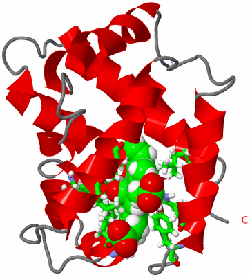 Image NMR Structure - model 1, sites