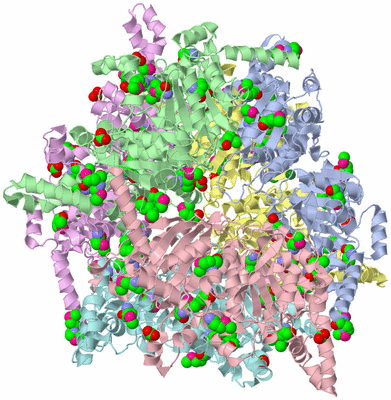 Image Asym./Biol. Unit
