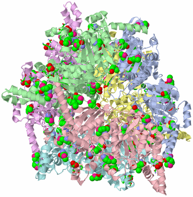 Image Asym./Biol. Unit - sites