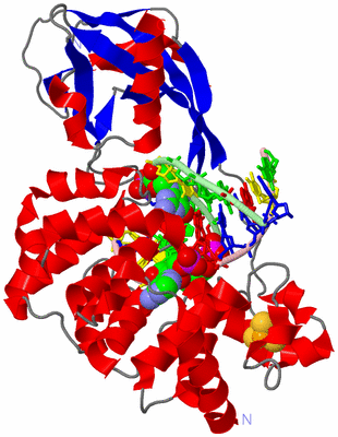 Image Asym./Biol. Unit