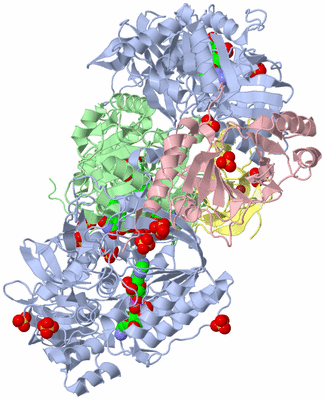 Image Biological Unit 1