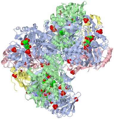 Image Biological Unit 2