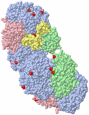 Image Biological Unit 3