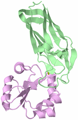 Image Biological Unit 2