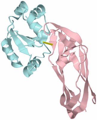 Image Biological Unit 3