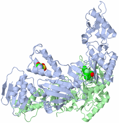 Image Asym./Biol. Unit