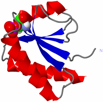 Image NMR Structure - model 1