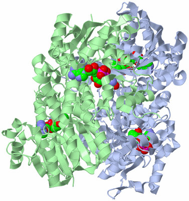 Image Biological Unit 2