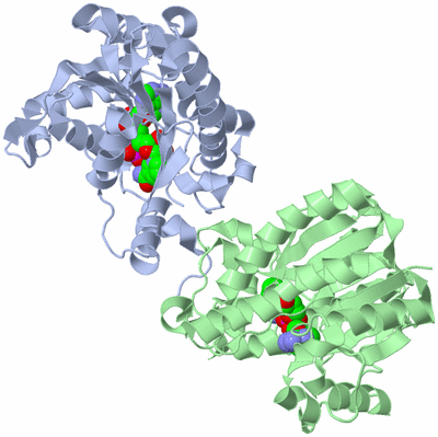 Image Biological Unit 3