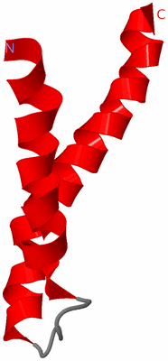 Image NMR Structure - model 1