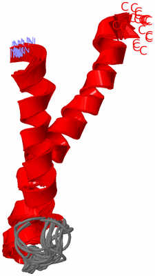 Image NMR Structure - all models