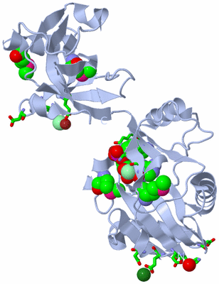 Image Biol. Unit 1 - sites