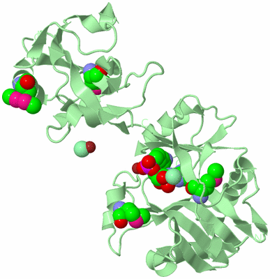 Image Biological Unit 2