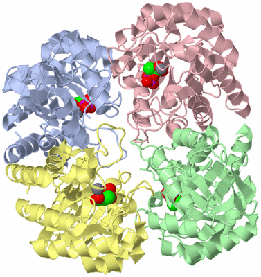 Image Asym./Biol. Unit