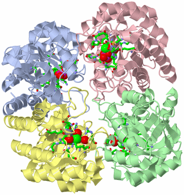 Image Asym./Biol. Unit - sites