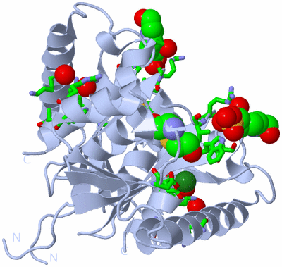 Image Biol. Unit 1 - sites