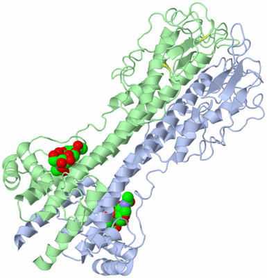 Image Asym./Biol. Unit