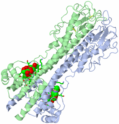 Image Asym./Biol. Unit - sites