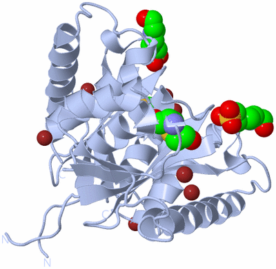 Image Biological Unit 1