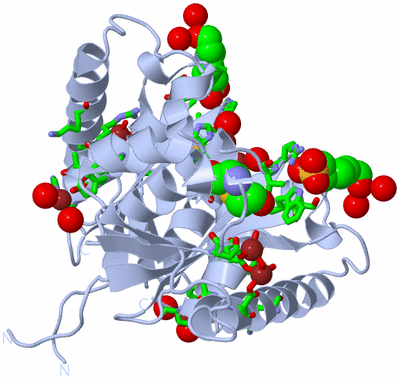 Image Biol. Unit 1 - sites