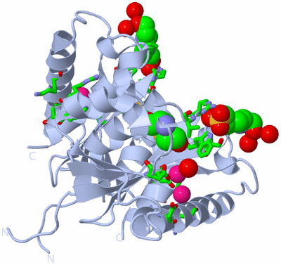 Image Biol. Unit 1 - sites