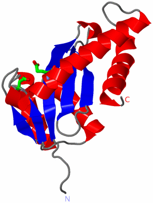 Image Asym. Unit - sites