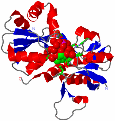 Image Asym. Unit - sites