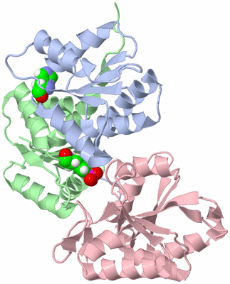 Image NMR Structure - model 1